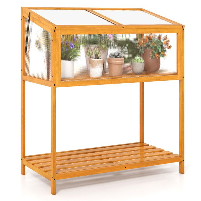 Saison de culture prolongée serre froide en bois avec toit ouvrant panneaux transparents et étagère pour légumes