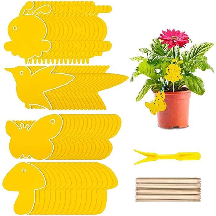 20 Attrape-mouches Collants Transparents Et à Motifs - Piège Non Toxique Pour Mouches, Moustiques, Pucerons - Pour Fenêtre, Cuisine, Plantes