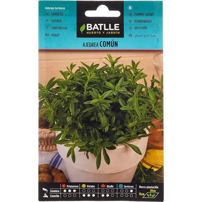 Graines De Cresson De Jardin - Aromatiques Et Épicées, Pour Salades Et Décoration De Plats