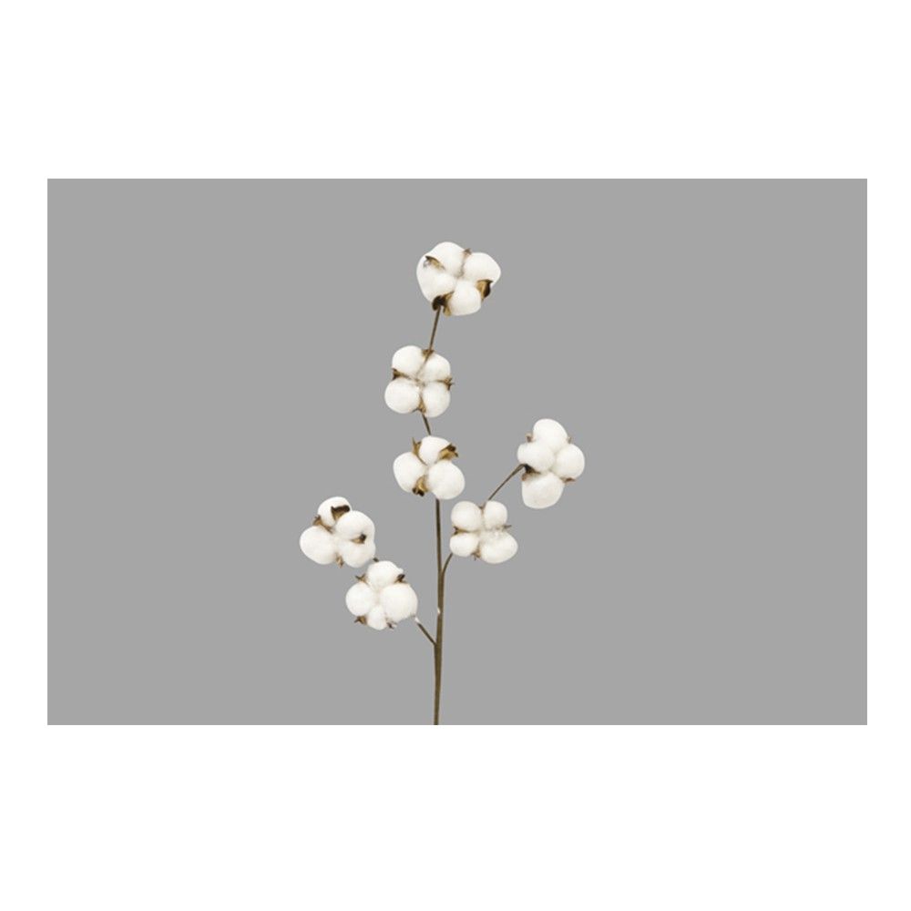 Fleur de coton - Cdiscount