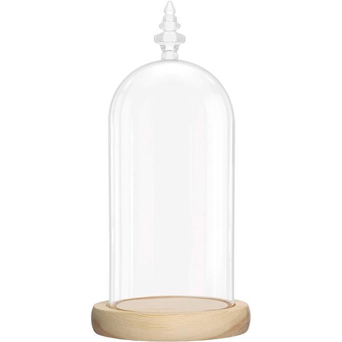 Cloche En Verre Avec Socle En Bois Naturel - 10 Cm De Haut, Dôme Transparent, Pour Décoration De Table, Plantes, Objets