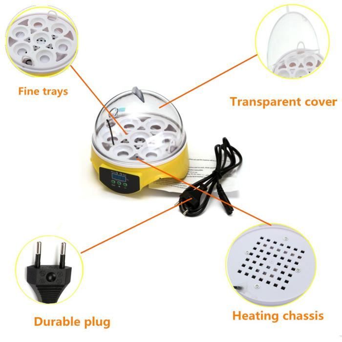 Mini Incubateur à Œufs Automatique 5 Œufs - Pour Poules, Cailles, Pigeons - Couvercle Transparent