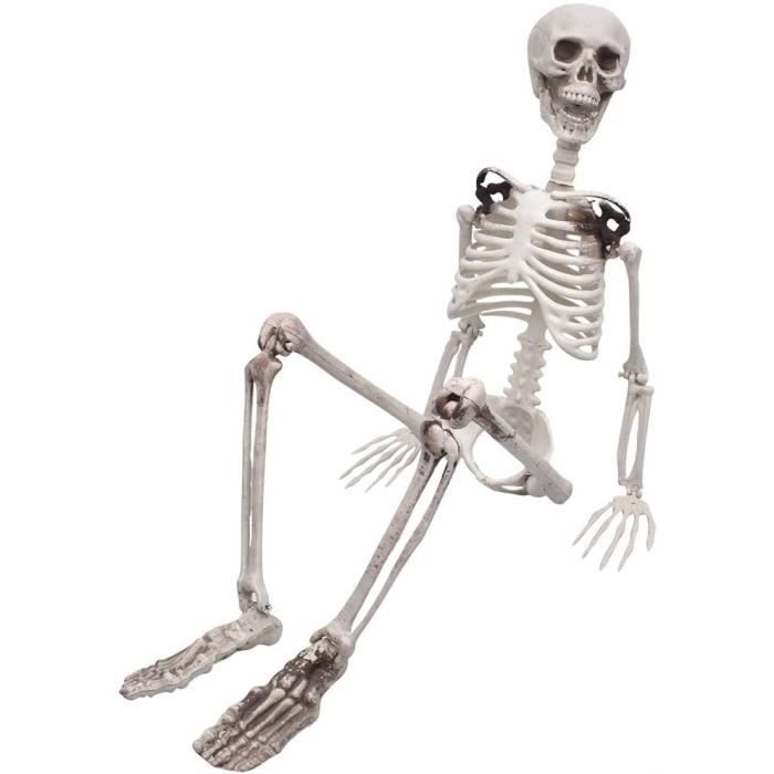Squelette Halloween Réaliste Articulé – Figurines Os Humains Mobiles 15 à 165 Cm Pour Maison Hantée Squelette Réaliste Cimetière Squelette Halloween Réaliste Articulé – Figurines Os Humains Mobiles 15 à 165 Cm Pour Maison Hantée Squelette Réaliste Cimetière