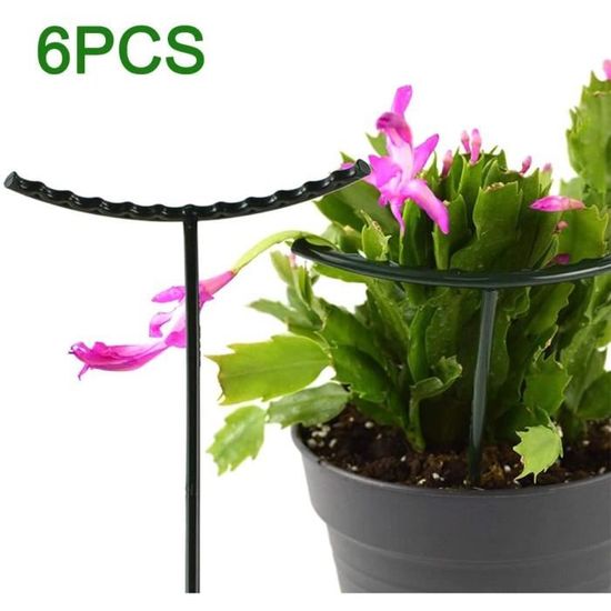 Lot De 6 Tuteurs Demi-Ronds Pour Plantes 40x25 Cm – Supports Métal Vert Jardin Robuste