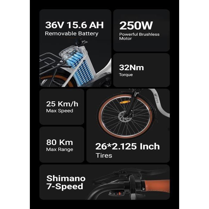 Vélo électrique DYU C6 Pro 26 Pouces - 250W - Batterie 36V/15.6Ah - Autonomie 60-70 Km - Vitesse Max 25 Km/h - Pour Ville