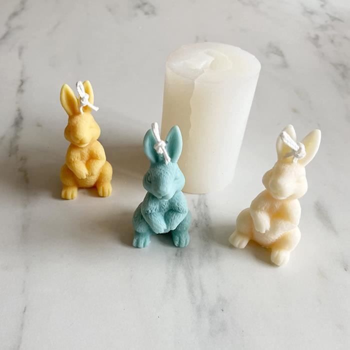 Moule à lapin en silicone, Mignons moules en résine de Pâques 3D, Moule en  plâtre fait à la main, moules en Silicone pour animaux, moulage en résine