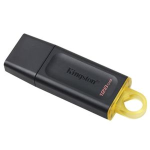 CLÉ USB Clé USB Kingston DTX 128 Go USB 3.2 Gen 1 disque U