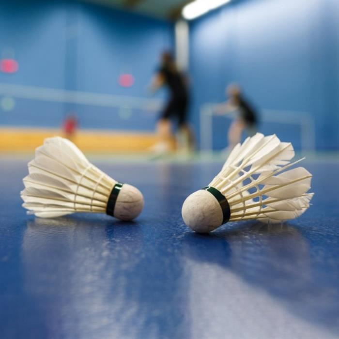 12Pcs Badminton Durable Boule de Volant Stable en Plume Planche-DBA