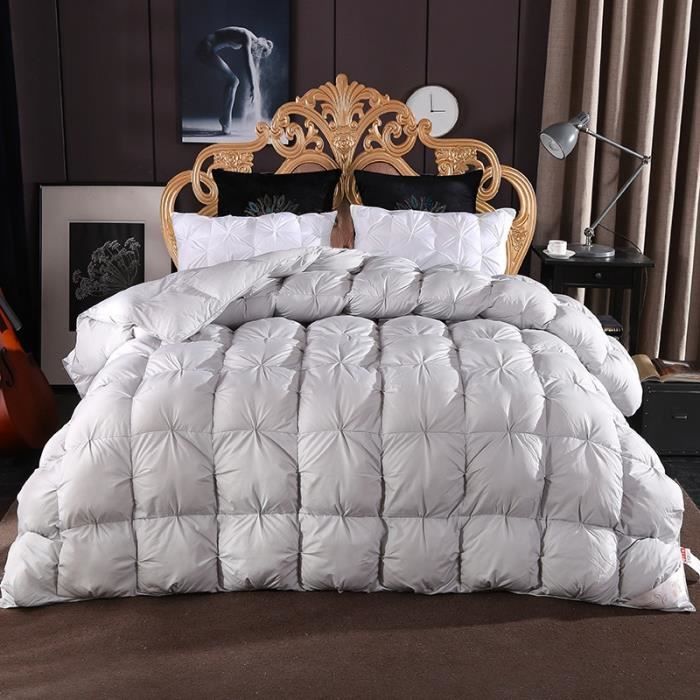 3KG Couette180*220cm GRIS Belle Literie : couette en plume de 95 d'oie