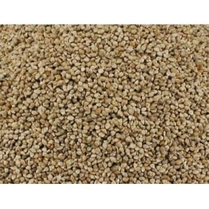 Vadigran Millet japonais