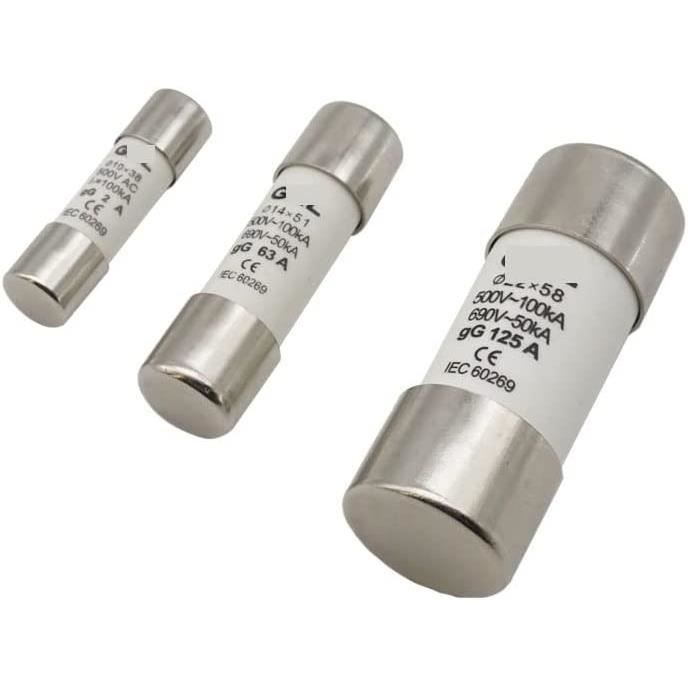 Lot De 10 Fusibles Céramiques Bussmann GBB-30A 250V | Action Très Rapide (Very Fast Acting) | 30A, 250VAC | NEUF