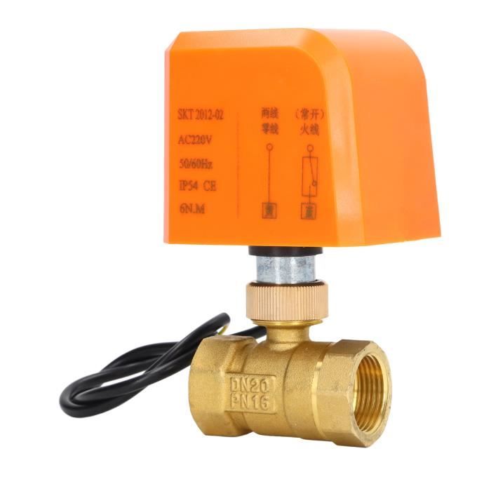 Vanne à Bille Motorisée 3/4" DN20 – Électrique 220V AC, Fonction Manuelle, Fiable Pour Domotique & Contrôle D'Eau