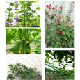 Filet en treillis végétal pour plantes grimpantes Filet de treillis pour plantes de jardin Filet de treillis vert Filet de 98666-2