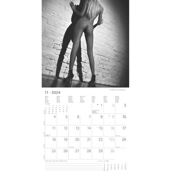 Maxi Calendrier 2024 Sexy Femme Corps de Rêve Photo Grand Format - Femme Nue  (dreamTN) + offert un agenda de poche : : Fournitures de bureau