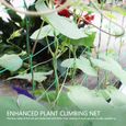 Filet en treillis végétal pour plantes grimpantes Filet de treillis pour plantes de jardin Filet de treillis vert Filet de 98666-3