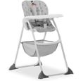 Hauck - Chaise Haute Sit N Fold Mickey Mouse Gris-0