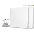 FAST LED TECHNOLOGY Kit interrupteur va et vient sans fil et sans pile auto alimenté piézoélectrique écologique - 2 boutons émetteurs + 1 récepteur