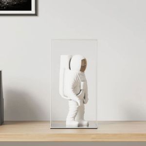 Vitrine Acrylique Transparente Pour Figurines Et Modèles – Boîte De Présentation étanche 20x20x35 Cm (lot De 1)