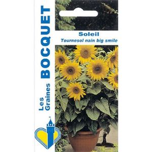 GRAINE - SEMENCE Sachet de  Soleil tournesol nain jaune Big Smile - 3 g - LES GRAINES BOCQUET