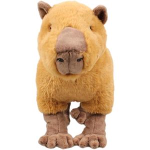 SALALIS Jouet de poupée Capybara en peluche 30 cm peluche Capybara