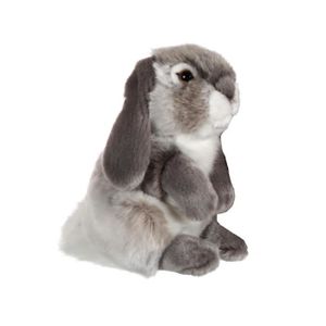 Lapin Belier Achat Vente Pas Cher