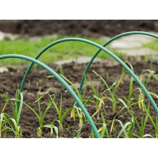 Dehner Film Tunnel pour Culture 6 x 1,8 m Plastique Vert