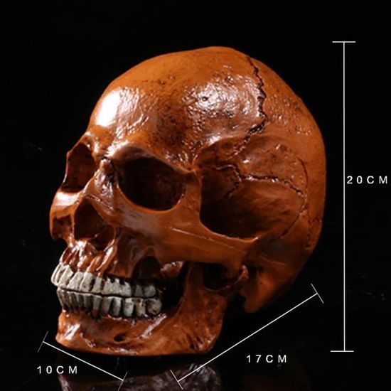 Réplique Saint Graal Indiana Jones En Résine - 14x12,5x6 Cm - Accessoire Cosplay, Décoration Collection - Taille 1:1