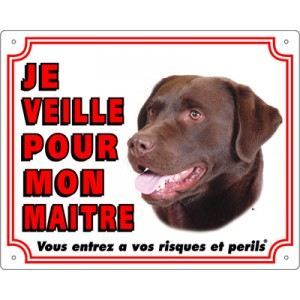 Vadigran Panneau Labrador Retriever chocolat