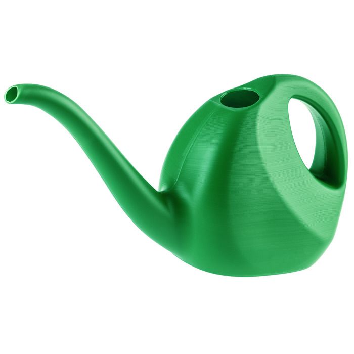 Arrosoir 2 Litres Vert - Long Bec Amovible + Pommeau Douche 2 Modes - Parfait Pour Plantes D'Intérieur Et Balcon