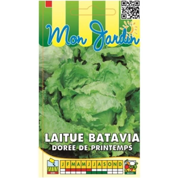Graines Basilic Grand Vert Les Graines Bocquet - 1g - Légume Feuille Reproductible