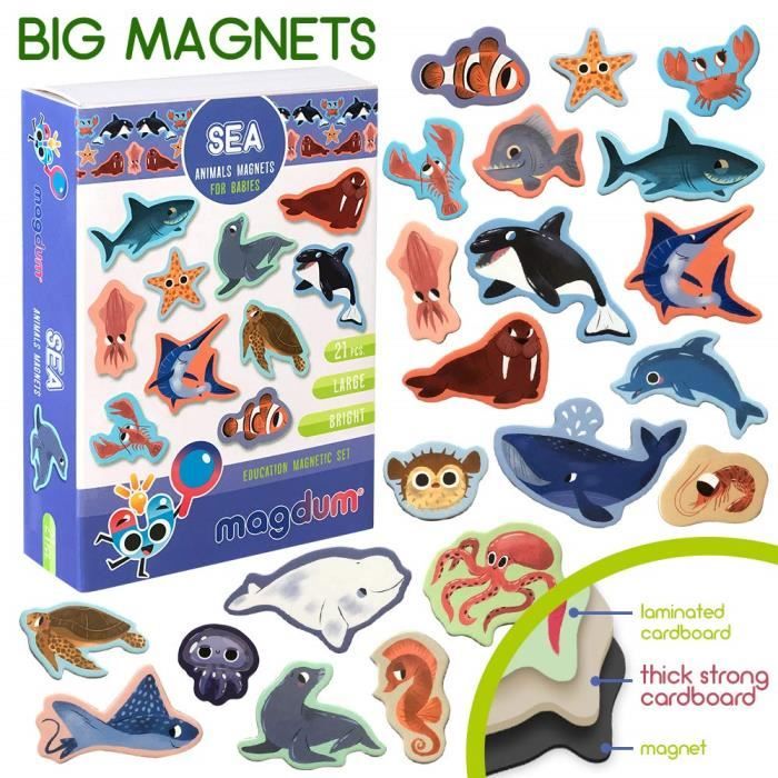 Magnet frigo enfant MAGDUM ZOO Animaux magnetiques - 20 Magnet enfant -  Frigo jouet - Frigo enfant - Frigo enfant jouet - Aimant,40 - Cdiscount  Maison