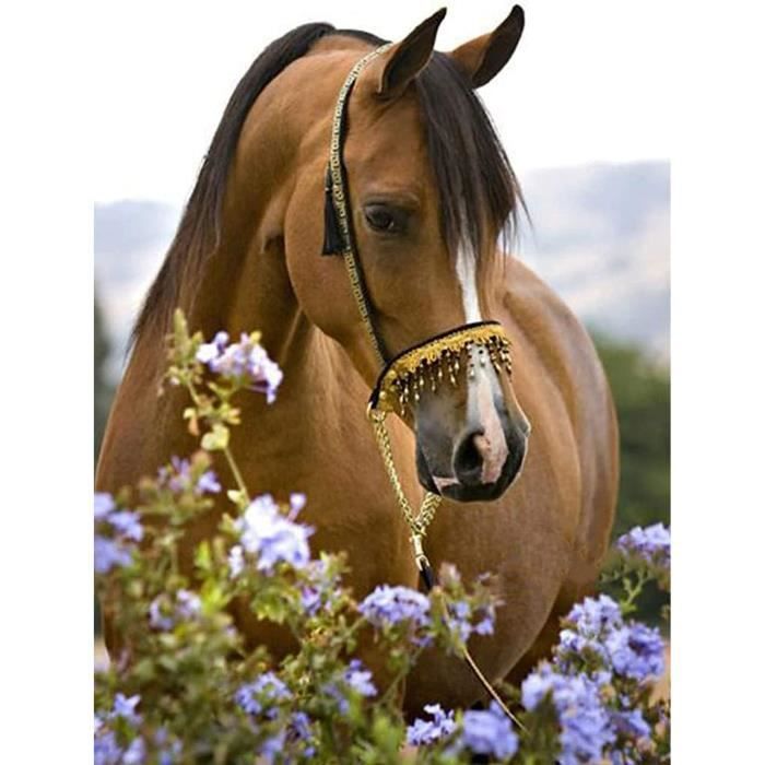 DIY 5D Diamond Painting Kits Lion Et Éléphant, Diamant Peinture Point De Croix Broderie Animal