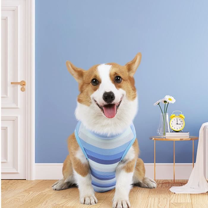 Comparer les prix de Combinaison de récupération pour chien - SALUTUYA - XL - Élastique - Confortable - Ajustable