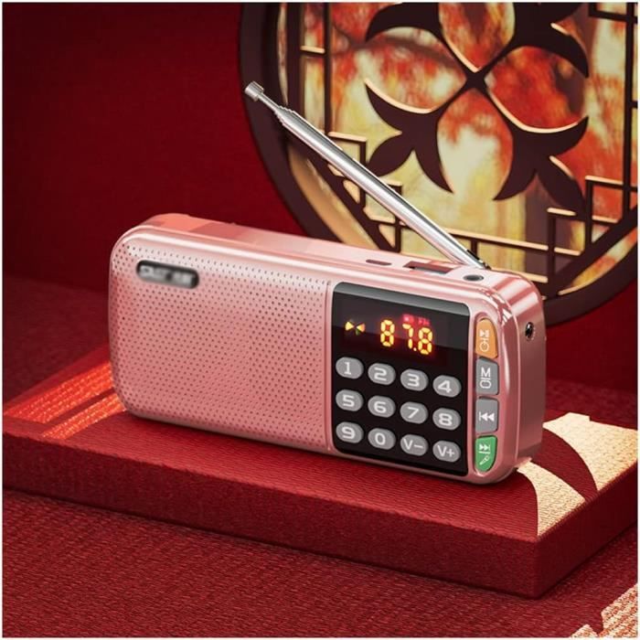 Radio Numérique Portable Roberts PLAY20 - FM/DAB/DAB+ - Écran Couleur - 20 Présélections - Caoutchouc De Protection