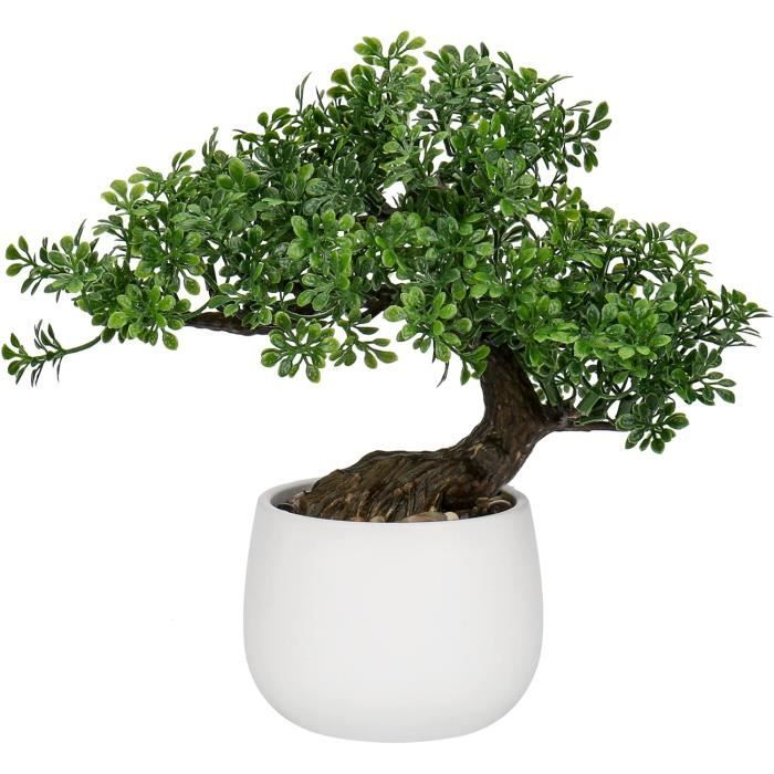 Arbre bonsaï avec pot de fleurs en céramique – Ligustrum, ficus, carmona, podocarpus, orme chinois 6 à 9 ans (bol de 12 cm, bonsaï rhododendron (azalea