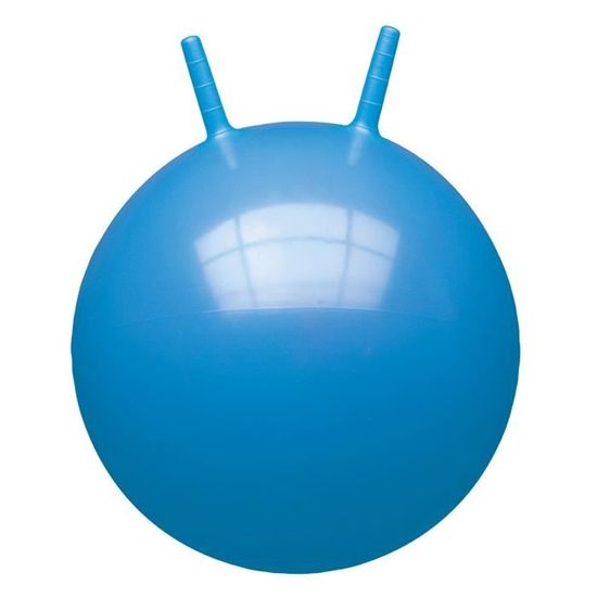 Ballon sauteur - My Pony - Diamètre 45cm - Enfant dès 3 ans - PVC épais -  Cdiscount Jeux - Jouets
