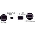 MCL Câble A/V DisplayPort/DVI - Pour Périphérique audio/vidéo-3