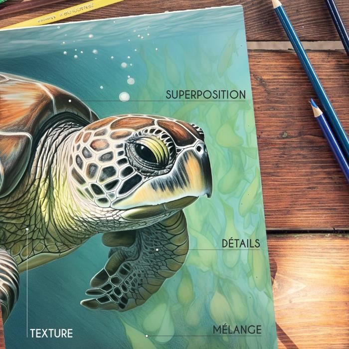 Zenacolor 72 Crayon de Couleurs Professionnel, avec Boîte en Métal