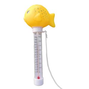 Thermomètre flottant de piscine, fontaine d'eau chaude, mesure de la  température de l'eau de baignoire