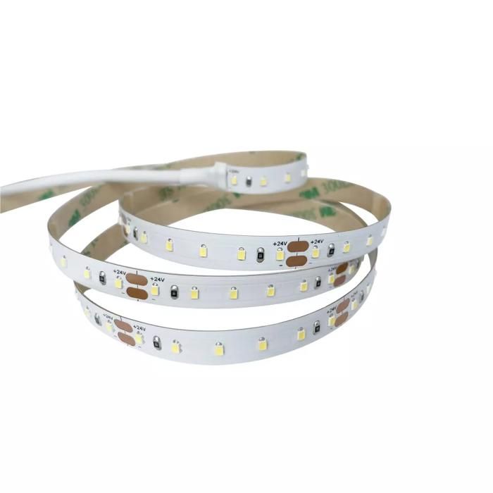 Ruban LED Blanc 120 LED/m 9W/m - Teinte de lumière:Blanc Froid (6000K) Longueur:5m