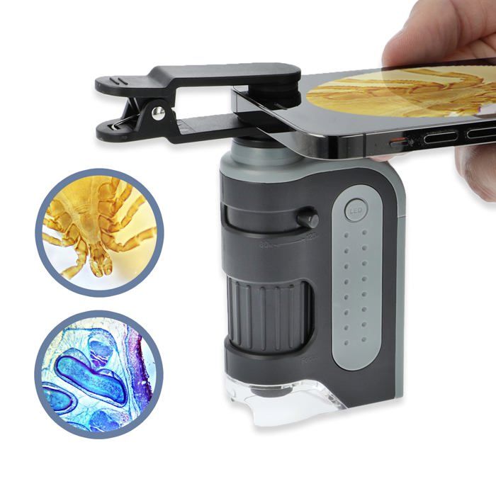 Microscope à Pince Universel 60X LED Bijoux Verre Mise Au Point Poche