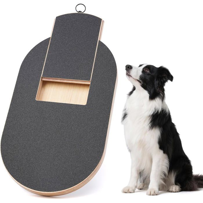 Griffoir Ovale pour ChienPlanche à griffer Solide avec friandises pour Chiens de Toutes TaillesJouet pour Lime à Ongles