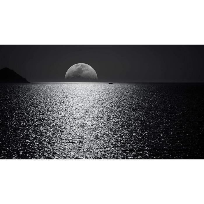 Adulte Enfant Puzzle Adultes en Bois PuzzlesLune Blanche Et NoireArt