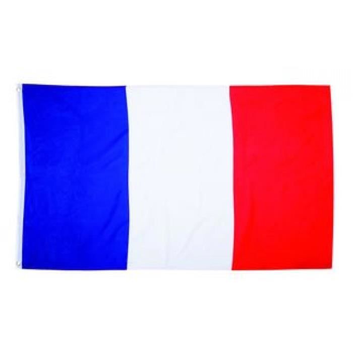 le drapeau de la france