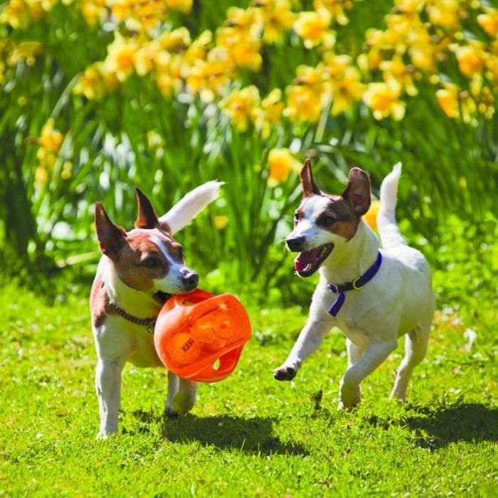 Jouet - KONG - Jumbler Ball M-L - Caoutchouc thermoplastique - Balle de tennis intégrée - Pour chien