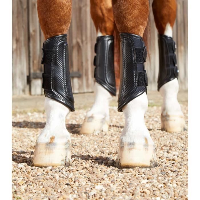 Guêtres pour cheval de dressage T de T T DE T