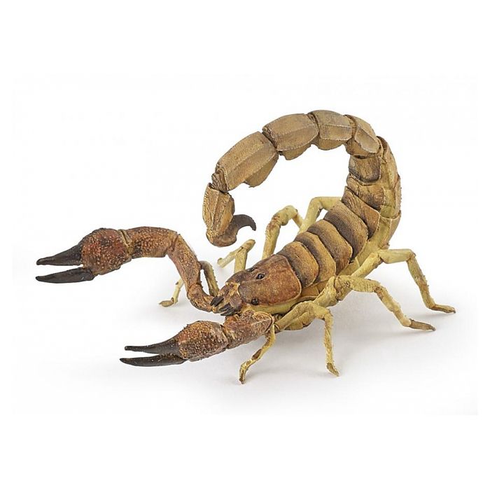 Papo Figurine Scorpion Cdiscount Jeux Jouets Papo Figurine Scorpion Cdiscount Jeux Jouets