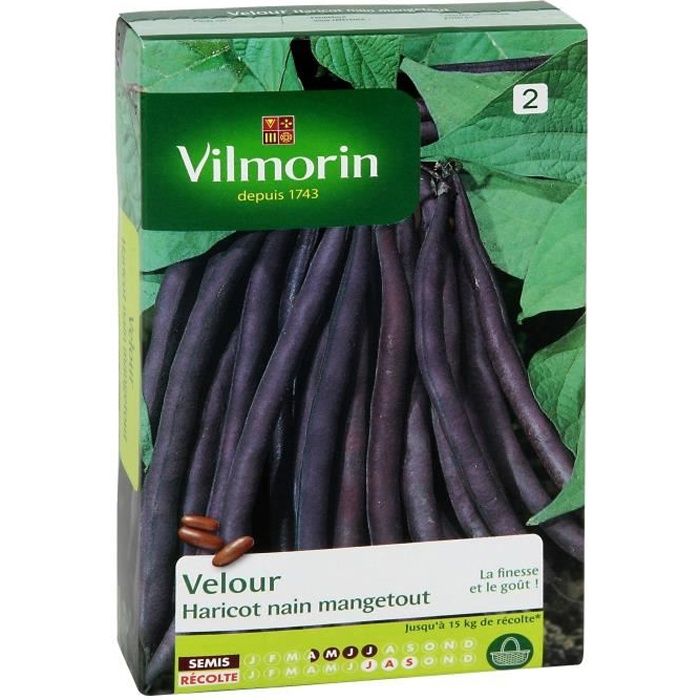 221 /"Rois de la qualité du chou avril 1500 Graines-Légumes
