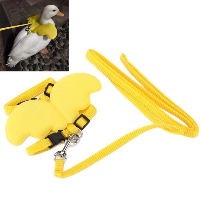 Harnais Réglable Pour Oiseaux Avec Laisse - Taille M Pour Perroquets 190-420 G