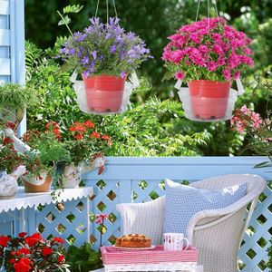 Pots Plastique Drainage Lot De 20 Pots De Fleurs Transparents Avec Soucoupes - 4 Tailles (10 à 18 Cm), Idéal Pour Semis Et Plantes D'intérieur Pots Fleurs Transparents